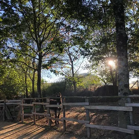 Le Camp Du Fauconnier ベッド・アンド・ブレックファスト