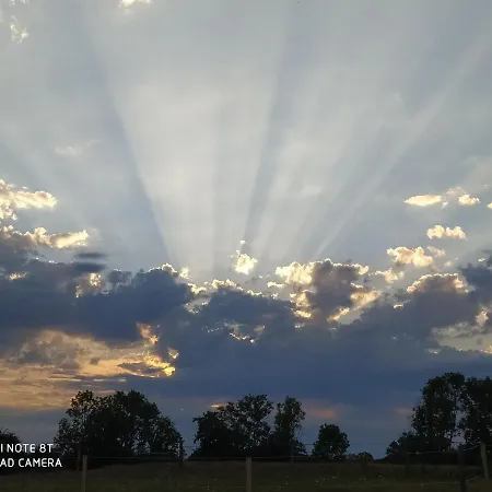 ベッド・アンド・ブレックファスト Le Camp Du Fauconnier La Pommeraie-sur-Sèvre