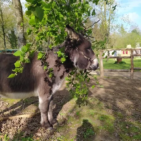 Le Camp Du Fauconnier ベッド・アンド・ブレックファスト La Pommeraie-sur-Sèvre