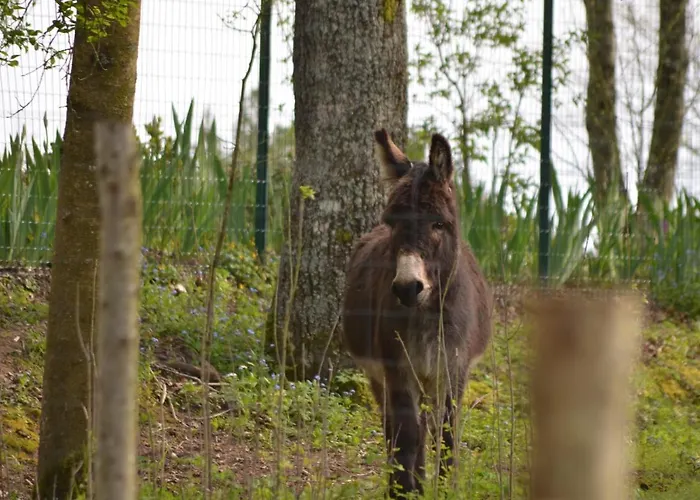 Le Camp Du Fauconnier B&B