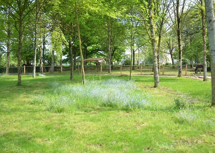 Le Camp Du Fauconnier La Pommeraie-sur-Sèvre