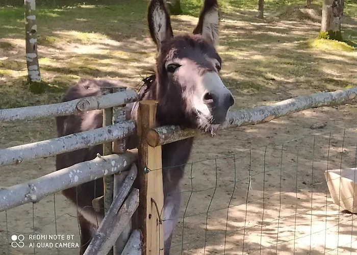 B&B Le Camp Du Fauconnier La Pommeraie-sur-Sèvre