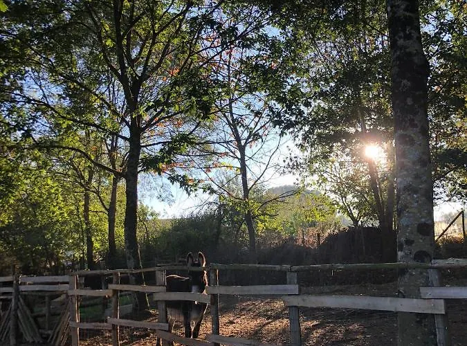 Le Camp Du Fauconnier B&B