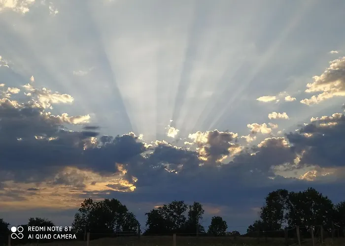 B&B Le Camp Du Fauconnier La Pommeraie-sur-Sèvre