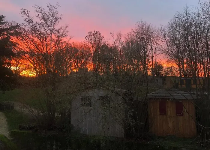 Le Camp Du Fauconnier